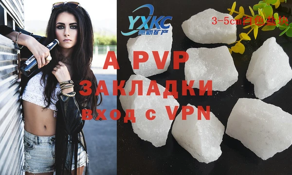 прущие грибы Армянск