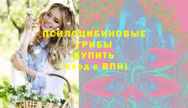 бошки Дмитров